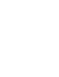 Pickle Ball / Badminton Court